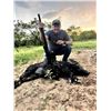 Image 1 : Cold Water Outfitter Texas Hog Hunt for 2 people 3 days