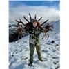 Image 12 : New Zealand Hunting Adventures Red Stag Hunt -  for 2 Hunter 2 Observer 5 Days