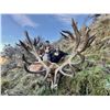 Image 5 : New Zealand Hunting Adventures Red Stag Hunt -  for 2 Hunter 2 Observer 5 Days