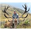 Image 7 : New Zealand Hunting Adventures Red Stag Hunt -  for 2 Hunter 2 Observer 5 Days