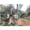 Image 8 : New Zealand Hunting Adventures Red Stag Hunt -  for 2 Hunter 2 Observer 5 Days