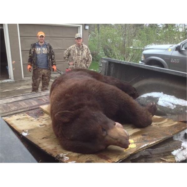 Kap River Ontario Bear Hunt for 2 Hunters