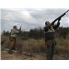Image 2 : Paco Reistra Safaris - 6 Hunters / 4 days Dove hunt in Argentina