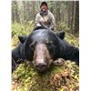 Image 11 : Minnesota Big Bear Specialist Guided Giant Black Bear Hunt in Minnesota