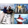 Image 4 : Ugak Bay Lodge - Alaska Fishing Kodiak Island 6 days for 2 to 6 people