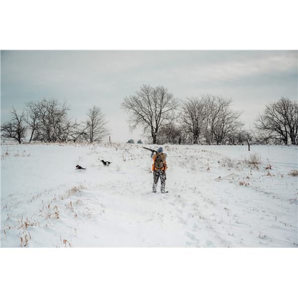 Heritage 1865 Iowa Pheasant & Quail 2 hunters