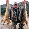Image 4 : Rincon Outfitters Javalina & Predator 1x1 Hunt for 1 hunter 4 days