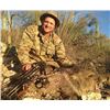 Image 8 : Rincon Outfitters Javalina & Predator 1x1 Hunt for 1 hunter 4 days