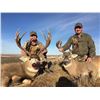 Image 5 : Buckbrush Outfitters Alberta  Whitetail Rifle Hunt