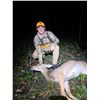 Image 2 : Dirt Nap Outfitters Kansas Youth Whitetail Hunt