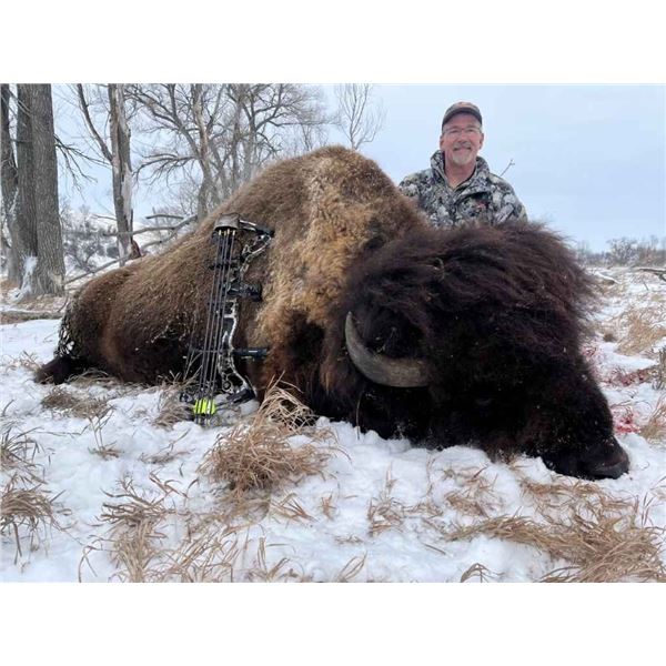 Rolling Plains Adventures  Trophy Bison Hunt for 1