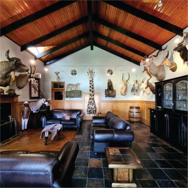 Vos & Co Safari's Cape Buffalo for 1 hunter 6 days