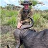 Image 5 : Vos & Co Safari's Cape Buffalo for 1 hunter 6 days