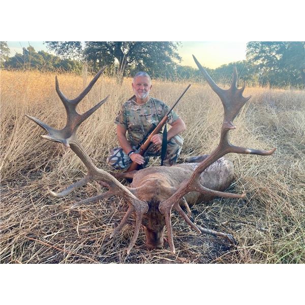 Giuseppe Carrizosa Red Stag hunt in Spain