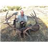 Image 2 : Giuseppe Carrizosa Red Stag hunt in Spain