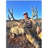 Image 10 : R&K Outfitters Utah Mule Deer Hunt for 1 Hunter