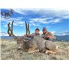 Image 1 : R&K Outfitters Utah Mule Deer Hunt for 1 Hunter