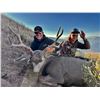 Image 2 : R&K Outfitters Utah Mule Deer Hunt for 1 Hunter