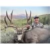Image 3 : R&K Outfitters Utah Mule Deer Hunt for 1 Hunter