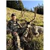 Image 4 : R&K Outfitters Utah Mule Deer Hunt for 1 Hunter