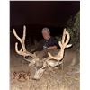 Image 6 : R&K Outfitters Utah Mule Deer Hunt for 1 Hunter