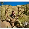 Image 9 : R&K Outfitters Utah Mule Deer Hunt for 1 Hunter