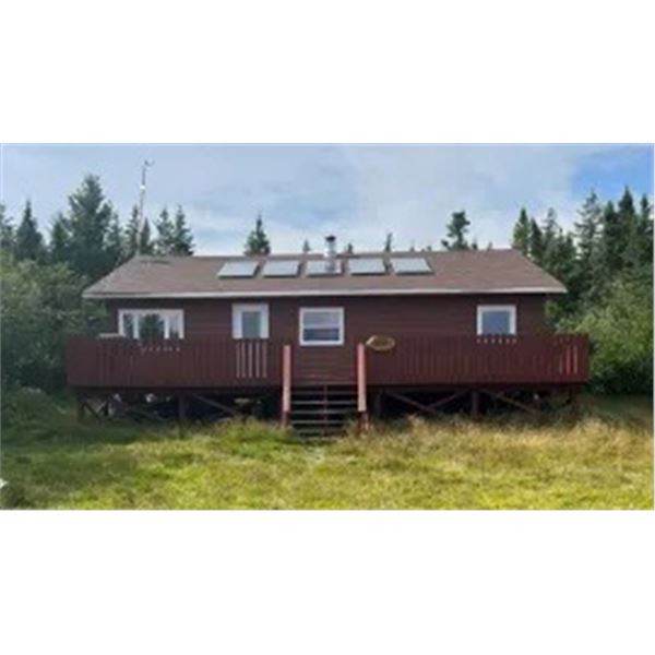 Middle Ridge Outfitters - Newfoundland Moose Hunt