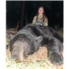 Image 1 : Timberlost  Saskatchewan Bear Hunt