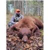 Image 2 : Timberlost  Saskatchewan Bear Hunt