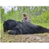 Image 3 : Timberlost  Saskatchewan Bear Hunt