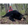 Image 7 : Timberlost  Saskatchewan Bear Hunt