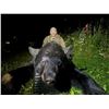 Image 18 : Minnesota Big Bear Specialist Guided Giant Black Bear Hunt in Minnesota