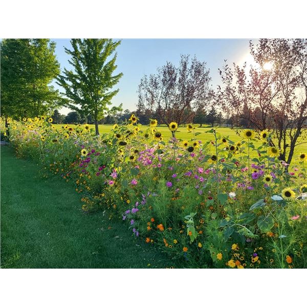 Tour Of Wisconsin                                                                             Golf P