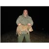 Image 3 : PREDATOR HUNT AND TOUR FOR 2 - $6,600 / EXHIBITOR