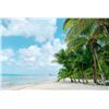Image 2 : CHOOSE YOUR ALL-INCLUSIVE PARADISE - $5,980
