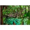 Image 5 : CHOOSE YOUR ALL-INCLUSIVE PARADISE - $5,980