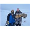 Image 1 : 5-DAY ALASKAN TRAP LINE FOR 1 HUNTER - $5,000 / EXHIBITOR