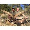 Image 2 : RED STAG HUNT FOR 1 HUNTER IN SPAIN- $9,500