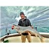 Image 3 : GUIDED 6-PERSON LAKE MICHIGAN FISHING CHARTER - $1,800 / EXHIBITOR