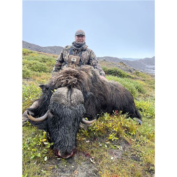INUIT OUTFITTER WINTER MUSK OX HUNT IN GREENLAND FOR 1 HUNTER -  $7,700