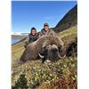 Image 2 : INUIT OUTFITTER WINTER MUSK OX HUNT IN GREENLAND FOR 1 HUNTER -  $7,700