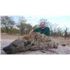Image 5 : 2026-2027 ZIMBABWE CAST AND BLAST FOR 1 HUNTER - $10,000 / EXHIBITOR IN-HOUSE SALE ONLY