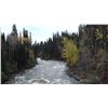 Image 2 : BLACK BEAR HUNT IN NORTHERN MANITOBA FOR ONE HUNTER - $3,000/ EXHIBITOR
