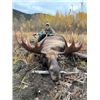 Image 2 : 10-DAY ALASKAN MOOSE HUNT FOR 1 HUNTER - $29,000 / EXHIBITOR