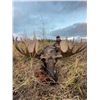 Image 3 : 10-DAY ALASKAN MOOSE HUNT FOR 1 HUNTER - $29,000 / EXHIBITOR
