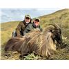 Image 4 : NEW ZEALAND GUIDING AND LODGING PACKAGE FOR 2 HUNTERS AND 2  OBSERVERS - $14,000 / EXHIBITOR