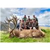 Image 6 : NEW ZEALAND GUIDING AND LODGING PACKAGE FOR 2 HUNTERS AND 2  OBSERVERS - $14,000 / EXHIBITOR