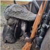 Image 3 : 6-DAY CAPE BUFFALO HUNT FOR 1 HUNTER - $13,100 / EXHIBITOR