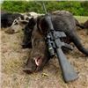Image 1 : 2-DAY TEXAS UNLIMITED HOG FOR 1 HUNTER