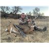 Image 3 : NEBRASKA 5-DAY MULE DEER OR WHITETAIL HUNT FOR 1 HUNTER - $4,795 / EXHIBITOR IN-HOUSE SALE ONLY